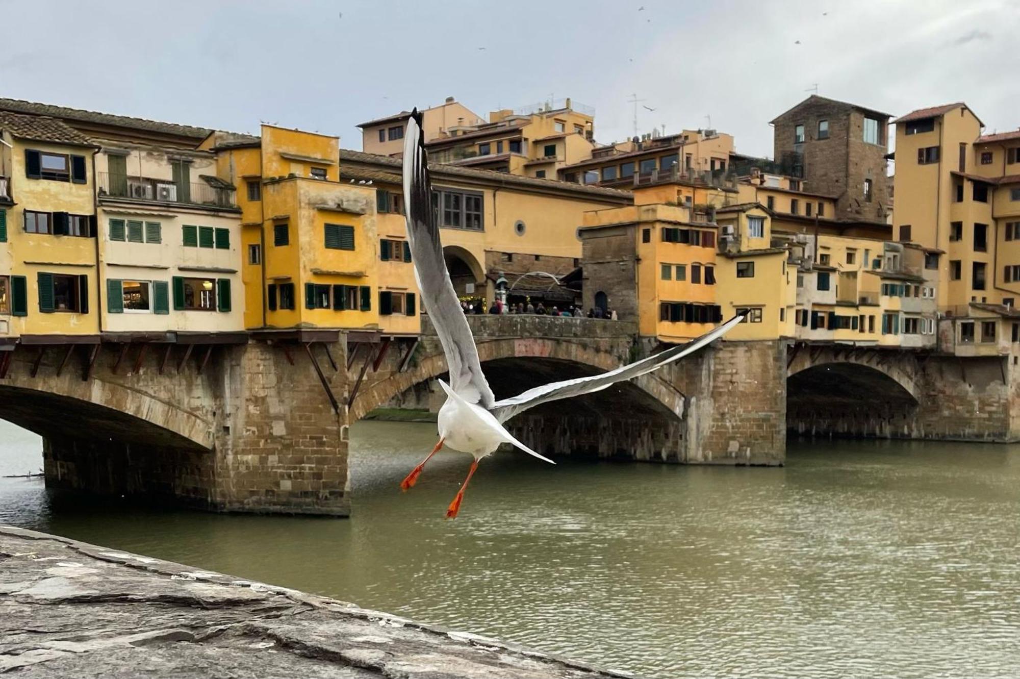 Modern Apartments In The Heart Of Firenze Bagian luar foto